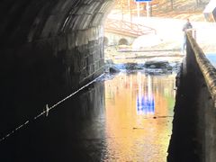 -白水寺森林公园