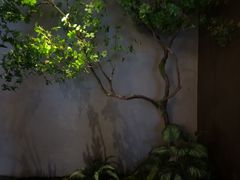 -唐宫足道·SPA·住宿24H会所(木渎店)