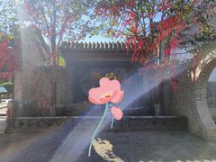 -清风小镇闯关东影视基地