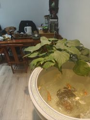 -烨麟黄金珠宝(和胤788广场一楼店)