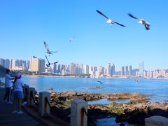 -黑石礁公园