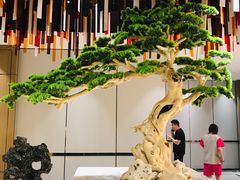 -青水瓦台汤泉(未央店)