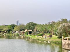 -海珠湖公园