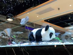 -红辣椒·川菜·火锅(张杨路店)