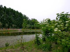 -东郊湿地公园