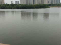 -灞河西岸滨河公园