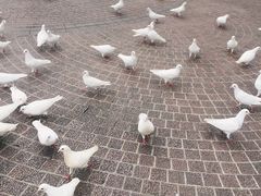 -东部华侨城
