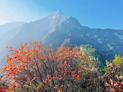 -太平万花山景区