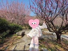 -雨花胜境