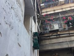 -老炳·七丛松甘草水果