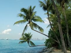 -巴拉湾海滩