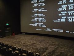 -SFC上影影城(北京大兴龙湖天街IMAX店)