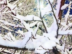 -萨尔浒风景区