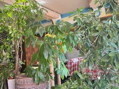 -慢丽江·云南野生菌土鸡锅(付家庄店)