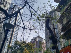 -山城巷传统风貌区