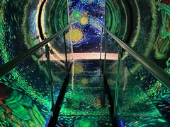 -梵高星空艺术馆(北京旗舰店)