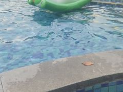 -台山颐和温泉城