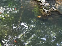 -普陀山风景名胜区-法雨禅寺