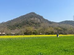 -八卦田遗址公园