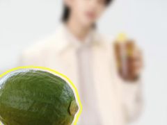 -大屏嶂森林公园
