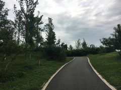 -白鹭湾湿地公园