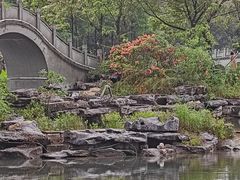 -四海公园(南山区)