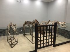 -游龙石文化科普馆