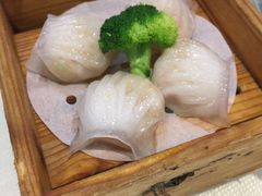 -金瑞轩大酒楼·顺德鱼生·粤菜海鲜(东江国际店)