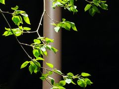 -回龙观体育文化公园