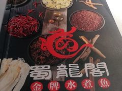 -雲蜀龙阁·金牌水煮鱼(方庄店)