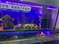 -新海利(北岭店)