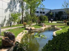 -北京国家会计学院