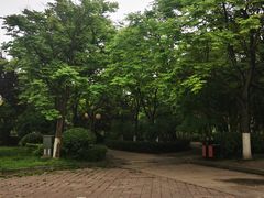 -咸阳湖景区-古渡公园