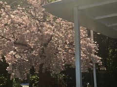 -小象钓虾·营地烧烤(洛溪店)