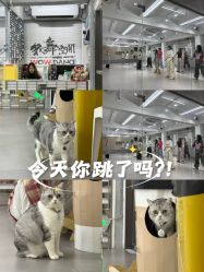 -我舞空间舞蹈培训