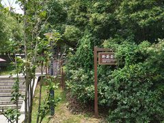 -白马涧龙池景区