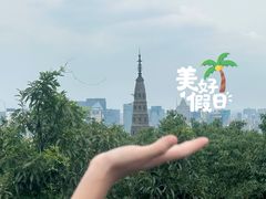 -宝石山