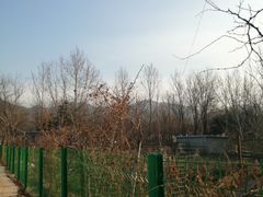 -天津盘山风景名胜区