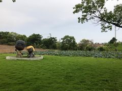 -上海都市菜园