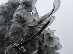 -黄山北海宾馆