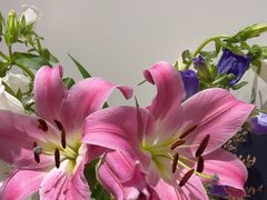 -乾威·泰式按摩•龙筋spa(金地店)