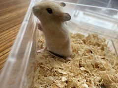 -龙猫仔乐园(惠福东路店)