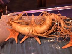 -千岛蚝高压锅生蚝·人参火锅(白云万达店)