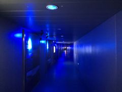 -白鹤梁水下博物馆