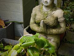 -谷咖啡·鲜花绿植花园餐厅
