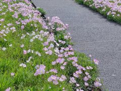 -洋湖国家湿地公园