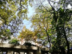 -上海佘山国家森林公园西佘山园