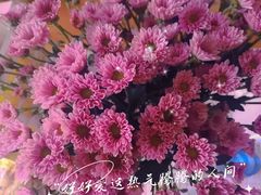 -金张掖麻辣烫(广运潭大道店)