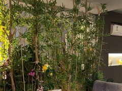 -施奈儿.洗头頭療.按摩SPA.采耳(上梅林店)