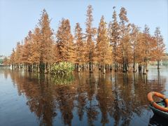 -白鹭湾湿地公园